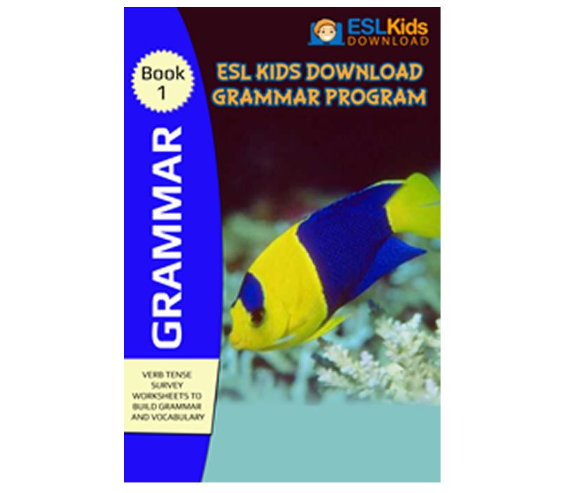 grammar survey ebook for communicative learning
